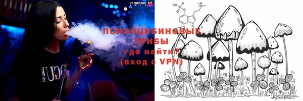 крисы Белоозёрский