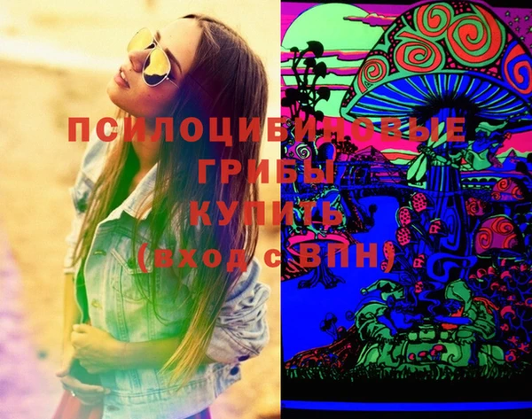 крисы Белоозёрский