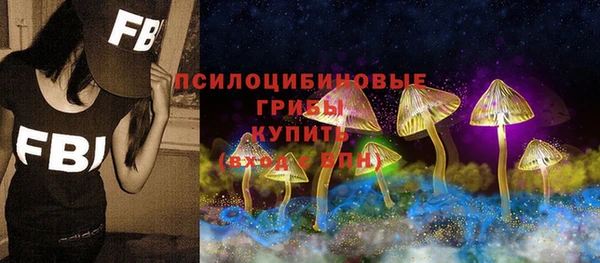 таблы Белокуриха