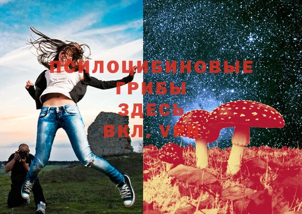 таблы Белокуриха