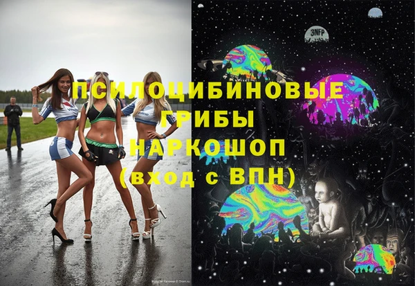 крисы Белоозёрский