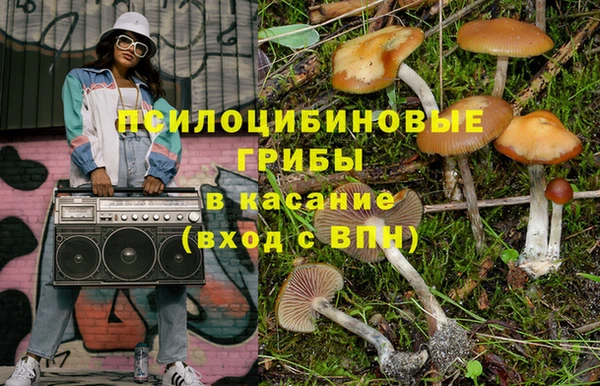 таблы Белокуриха